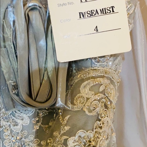 David Tutera Wedding Gown soft baby blue underly - Picture 15 of 15